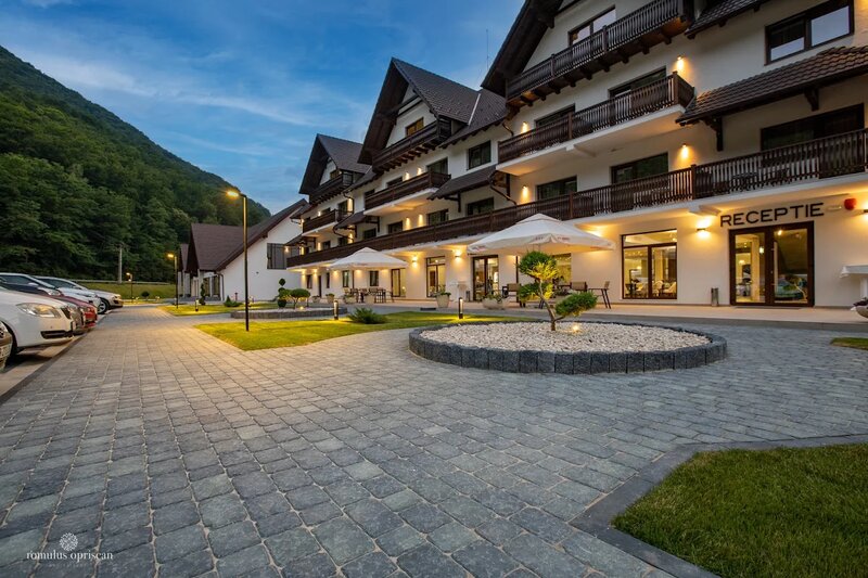 Nedei Hotel Transalpina***