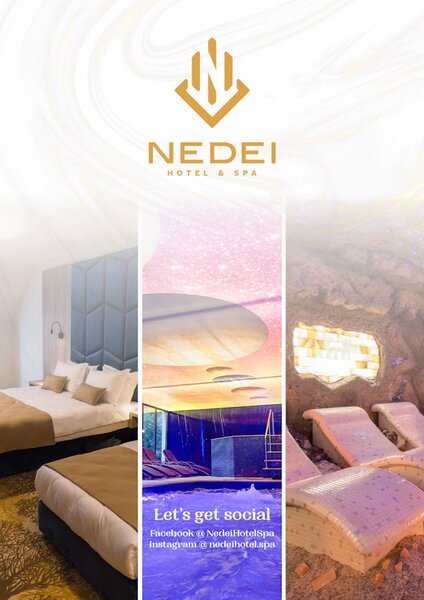 Nedei Hotel Transalpina***